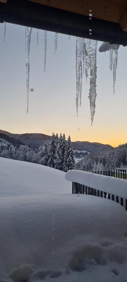 Penthouse Skyview Im Natur-Erlebnispark Bad Kleinkirchheim Патергассен Экстерьер фото