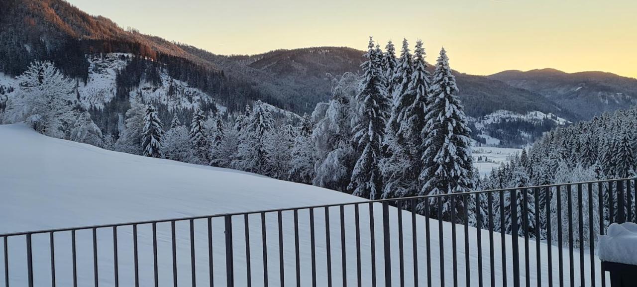 Penthouse Skyview Im Natur-Erlebnispark Bad Kleinkirchheim Патергассен Экстерьер фото