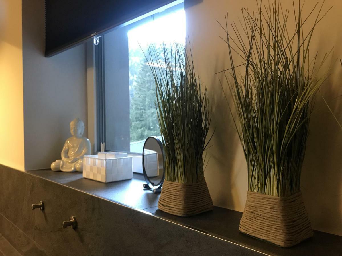 Penthouse Skyview Im Natur-Erlebnispark Bad Kleinkirchheim Патергассен Экстерьер фото